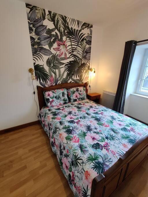 Le Tropica Appartement 2 Chambres, Plein Sud Centre Ville De Vitre Esterno foto